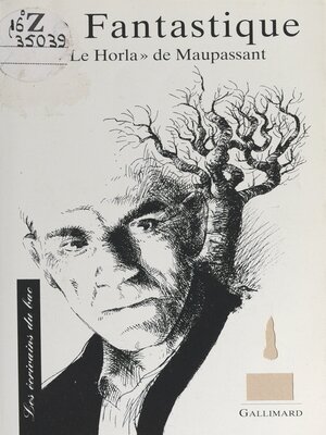 cover image of Le fantastique